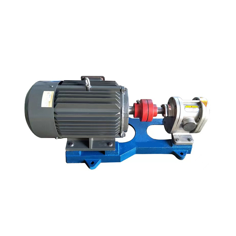 Pompe à huile à engrenages en acier inoxydable, série 2CY, surpresseur auto-amorçant