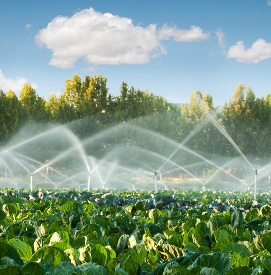 Industrie de l'irrigation agricole